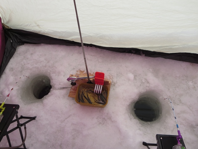 ファイル 37-6.jpg