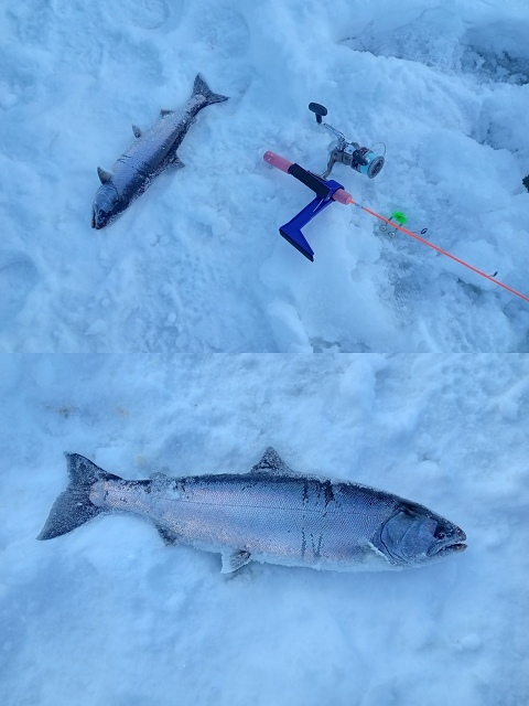 ファイル 38-3.jpg