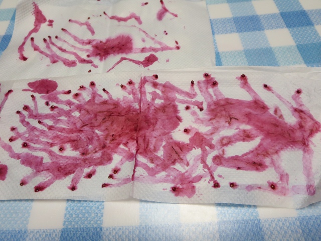 ファイル 39-1.jpg