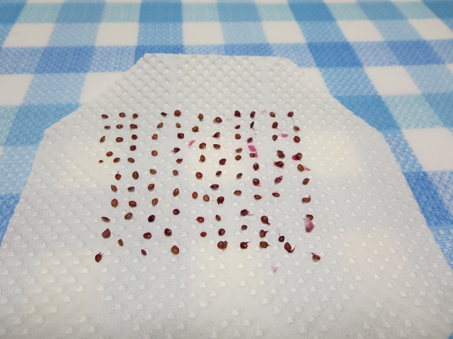 ファイル 39-4.jpg