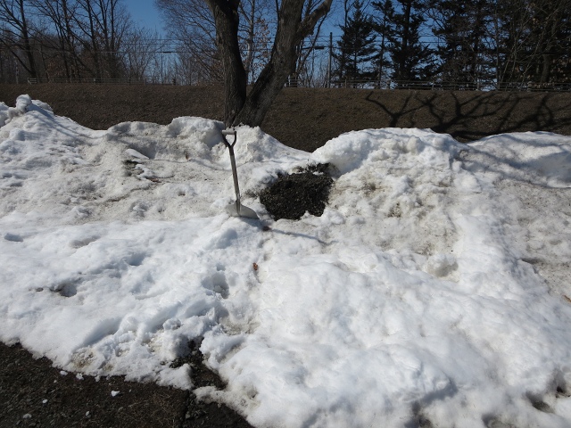 ファイル 39-8.jpg