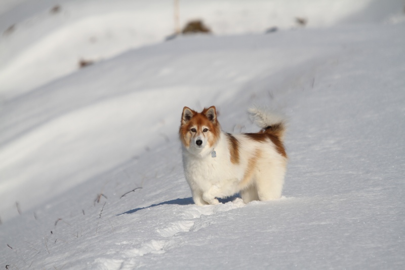 ファイル 4-4.jpg