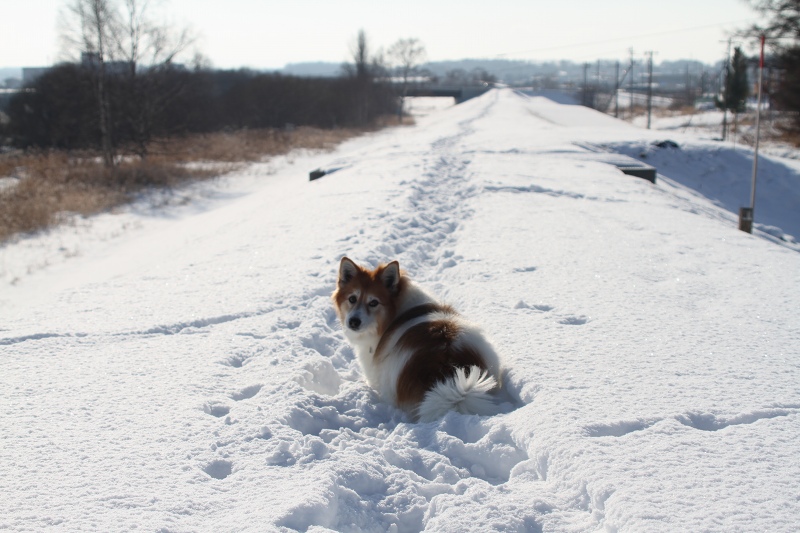 ファイル 4-6.jpg