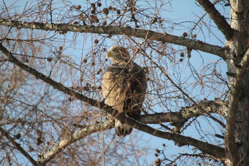 ファイル 4-7.jpg