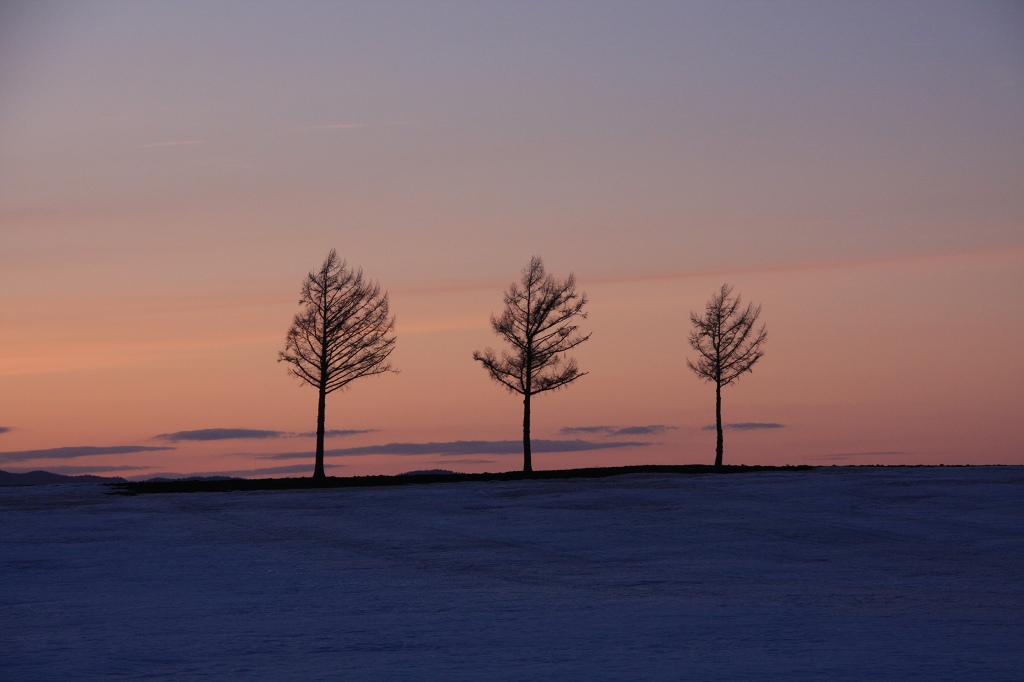 ファイル 40-1.jpg