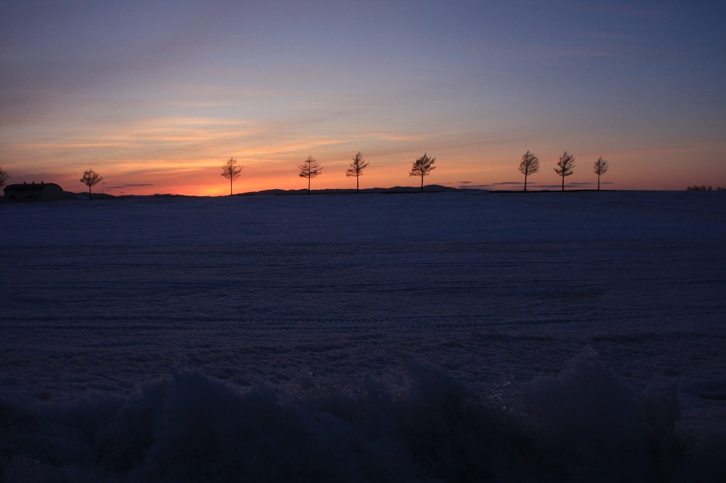 ファイル 40-2.jpg