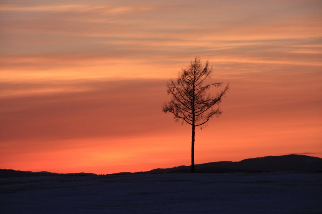 ファイル 40-3.jpg