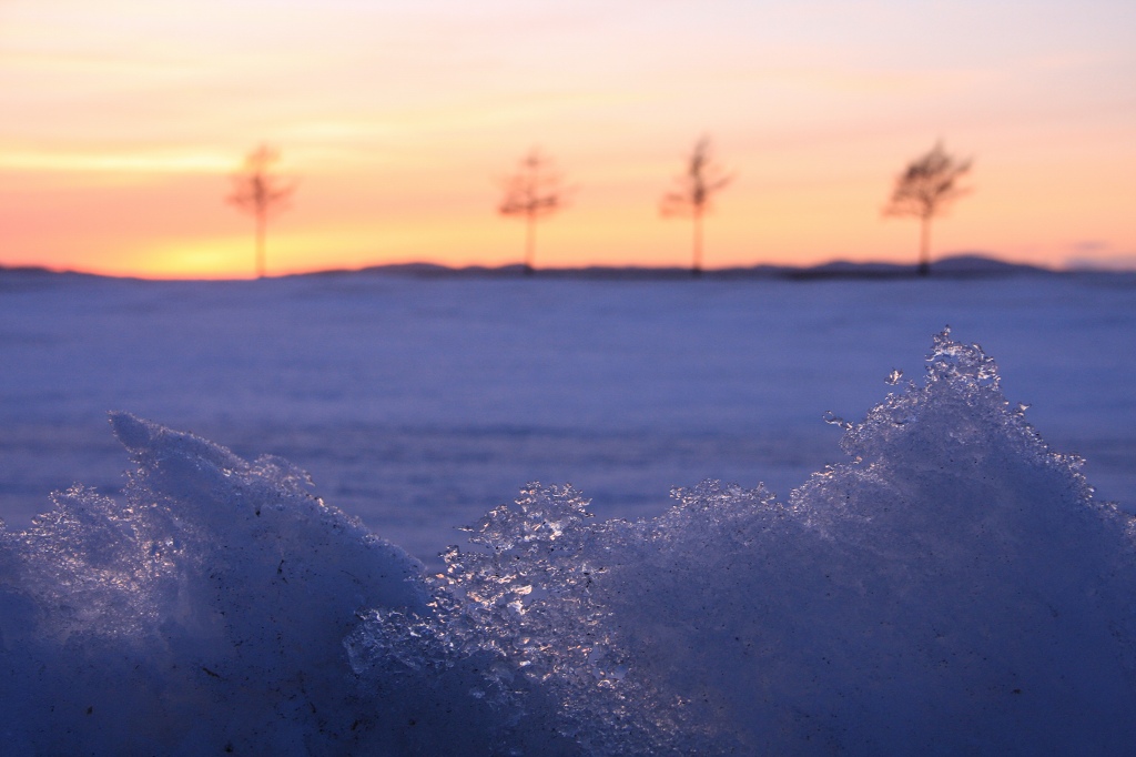 ファイル 40-4.jpg