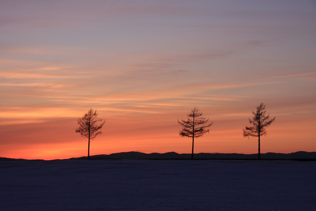 ファイル 40-5.jpg