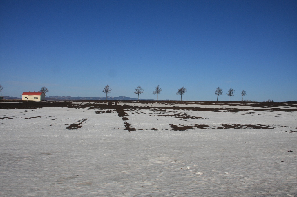 ファイル 41-1.jpg