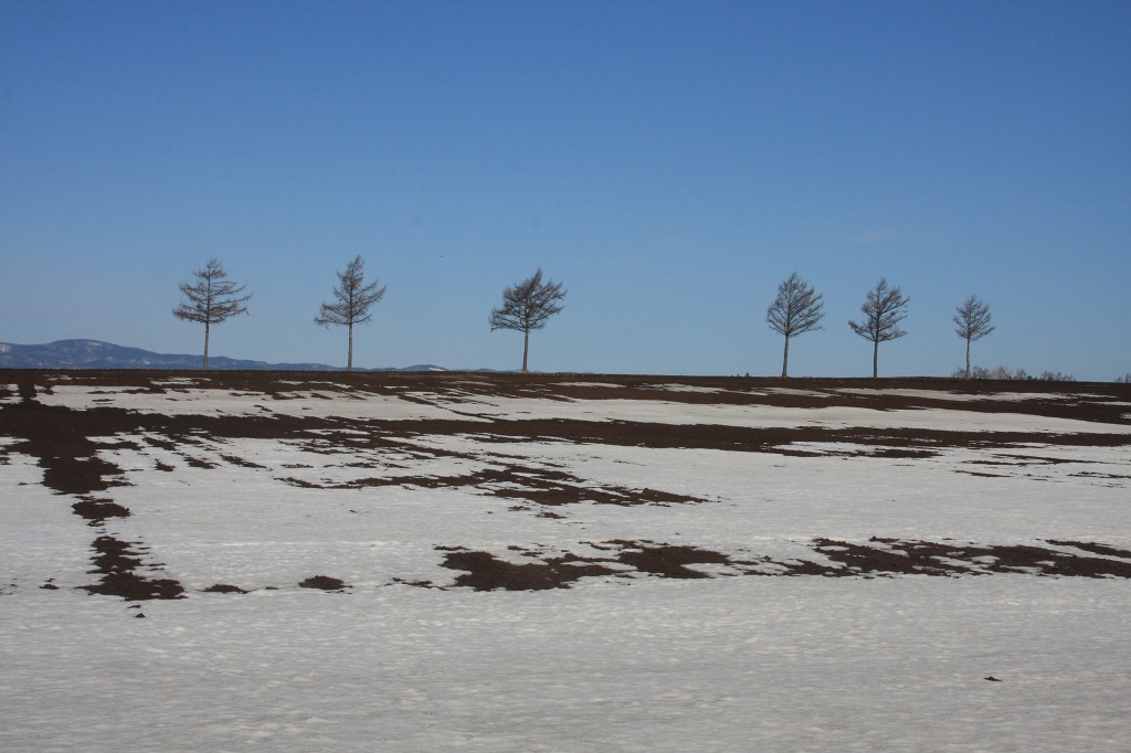 ファイル 41-2.jpg