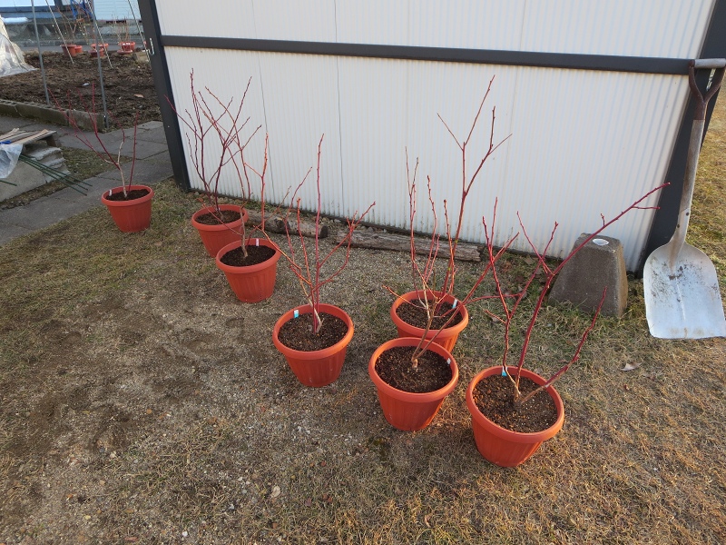 ファイル 42-3.jpg