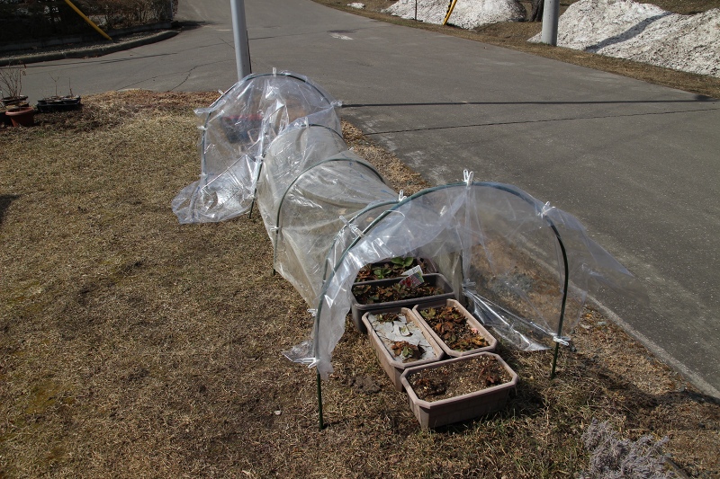 ファイル 42-4.jpg