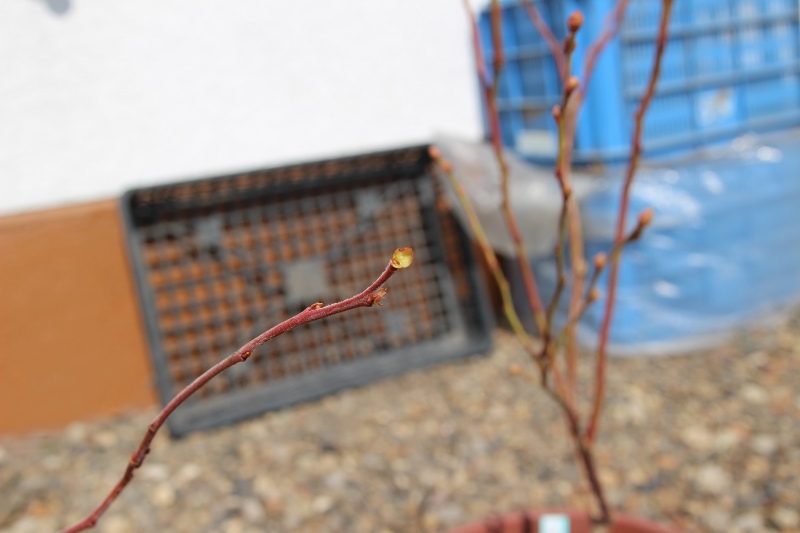 ファイル 42-8.jpg