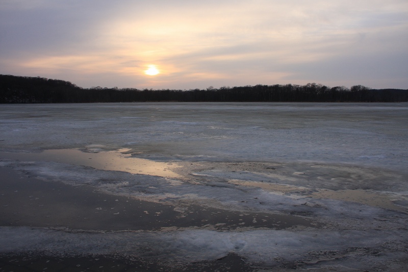 ファイル 43-1.jpg