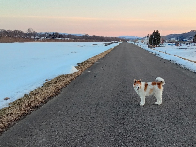 ファイル 43-4.jpg