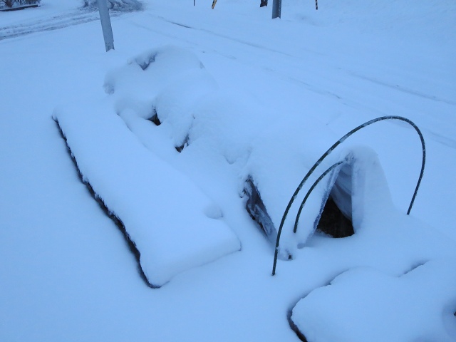 ファイル 44-5.jpg