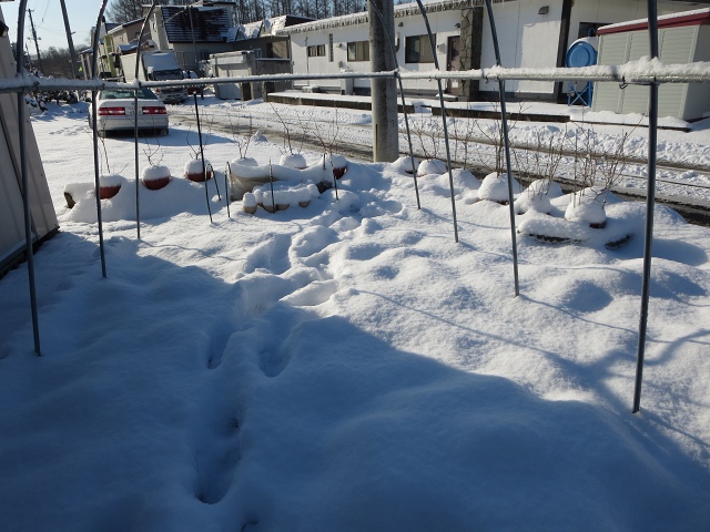 ファイル 45-2.jpg