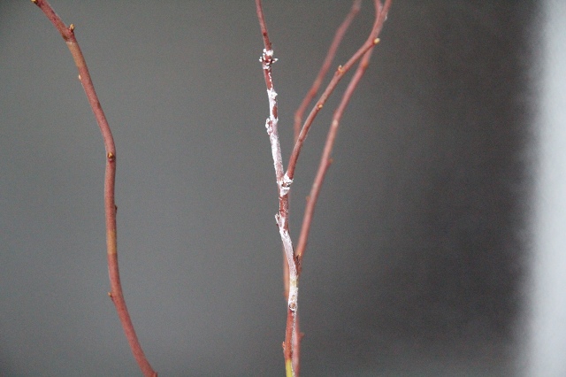 ファイル 45-3.jpg