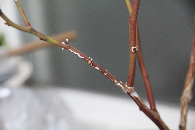 ファイル 45-4.jpg