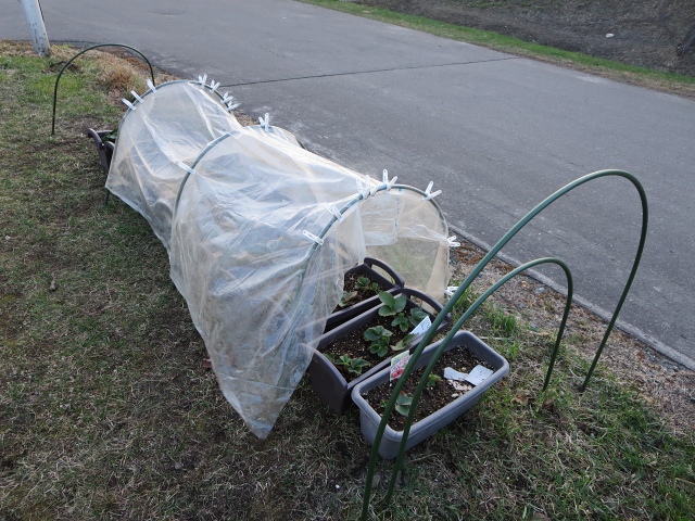 ファイル 48-2.jpg