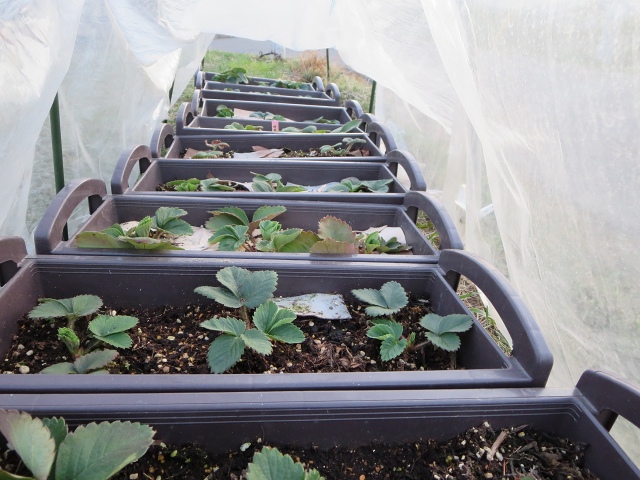 ファイル 48-3.jpg