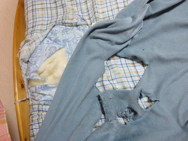 ファイル 49-5.jpg