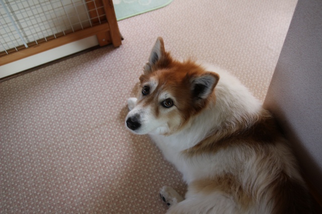 ファイル 49-6.jpg