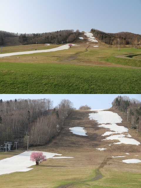 ファイル 52-1.jpg