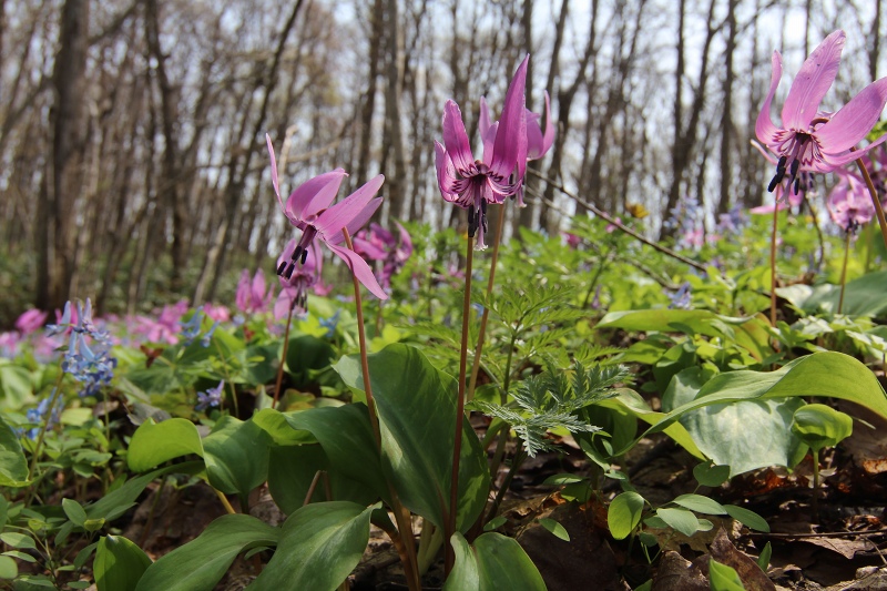 ファイル 52-5.jpg