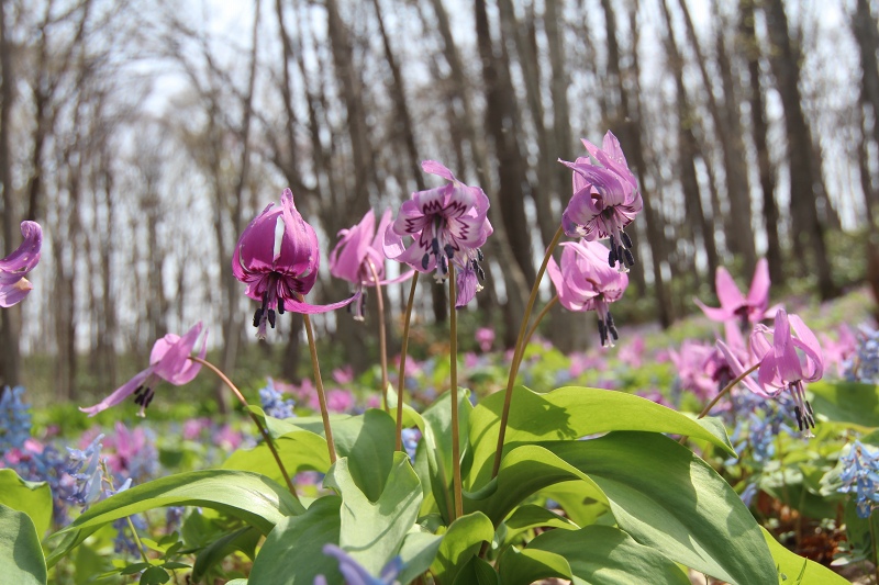 ファイル 52-7.jpg