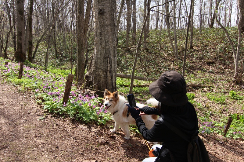 ファイル 52-8.jpg