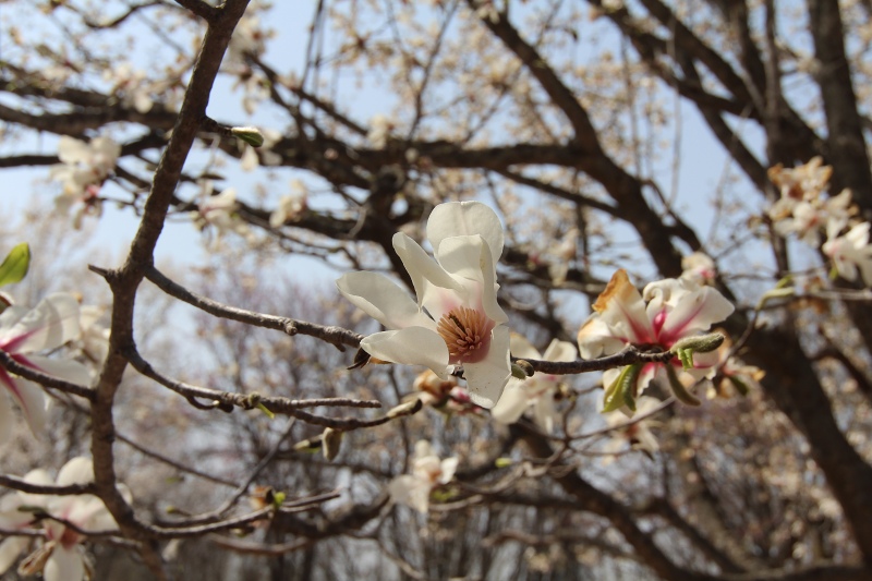 ファイル 52-9.jpg