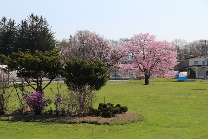 ファイル 54-1.jpg