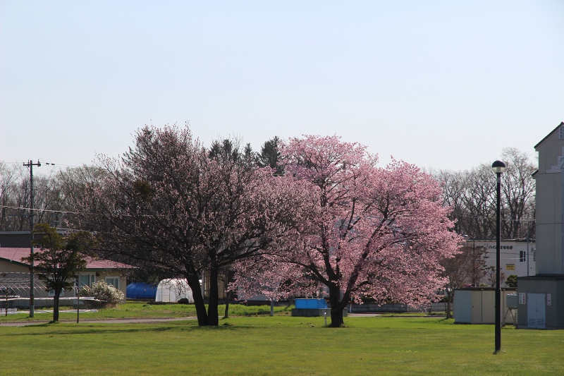 ファイル 54-2.jpg