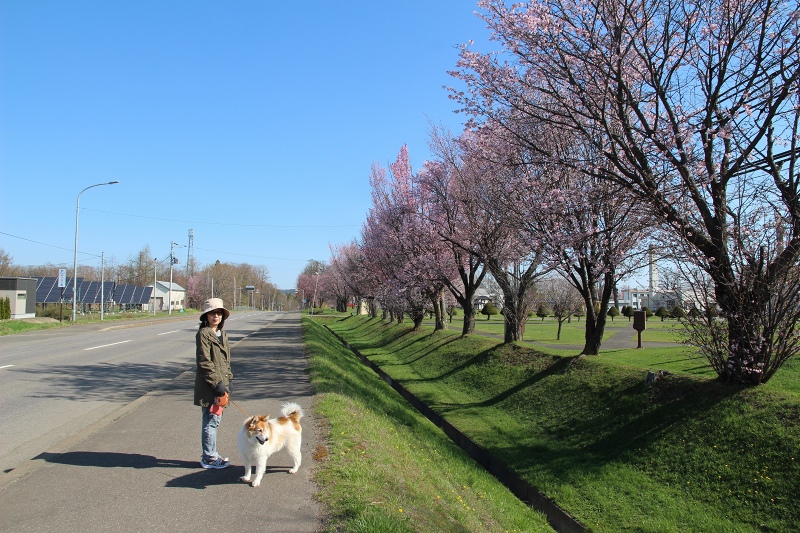 ファイル 54-3.jpg