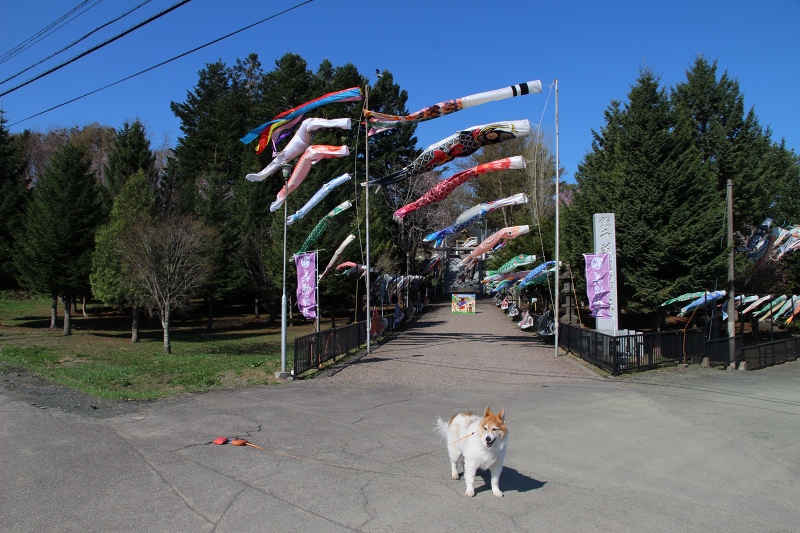 ファイル 54-5.jpg