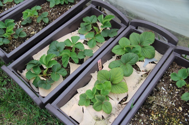 ファイル 54-9.jpg