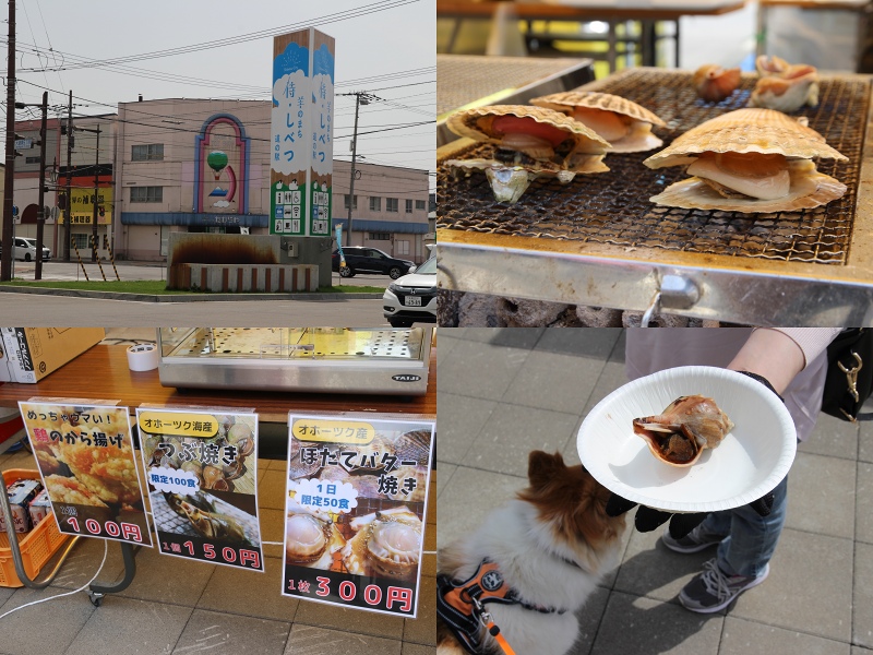 ファイル 55-5.jpg