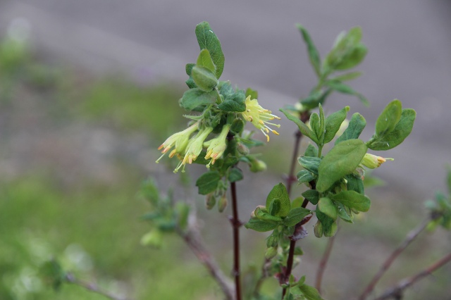 ファイル 56-2.jpg