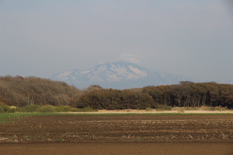 ファイル 57-6.jpg