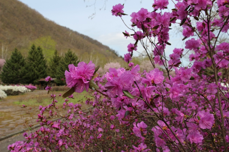 ファイル 58-2.jpg