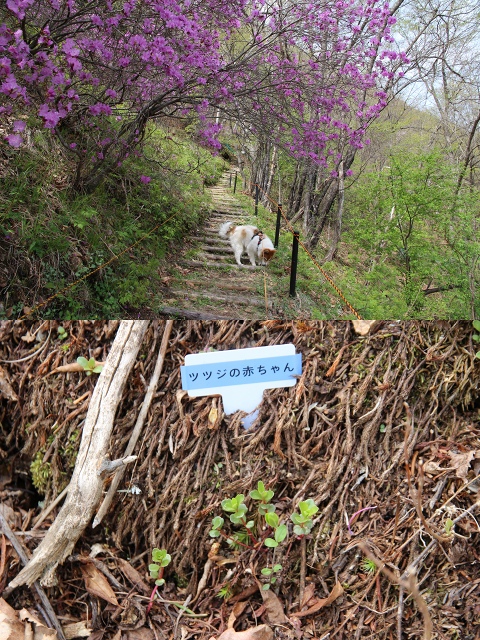 ファイル 58-3.jpg