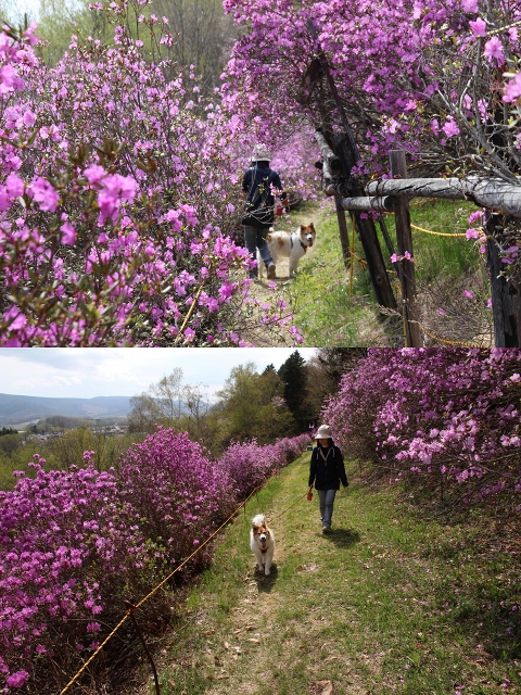 ファイル 58-4.jpg