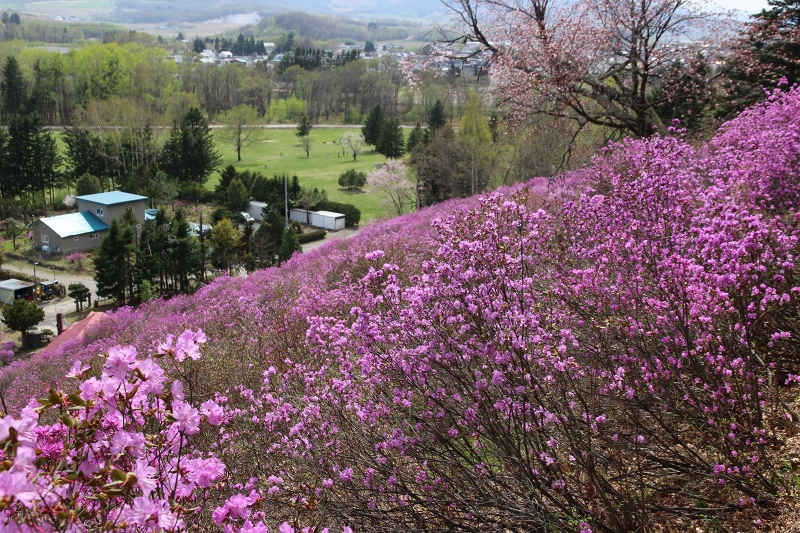 ファイル 58-5.jpg