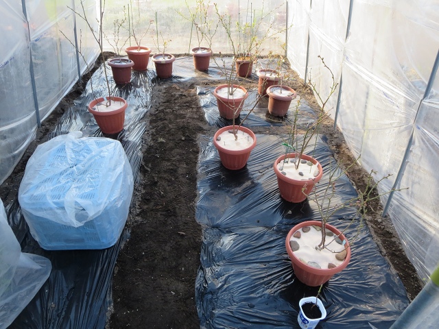 ファイル 59-2.jpg