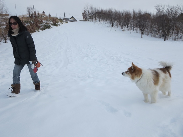 ファイル 6-3.jpg