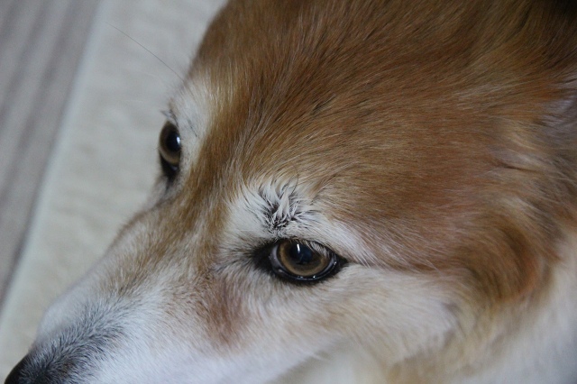 ファイル 60-1.jpg