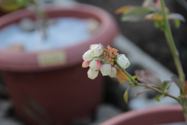 ファイル 60-4.jpg