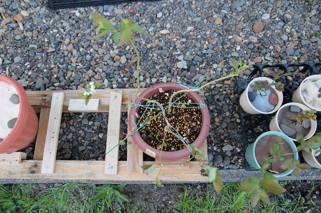 ファイル 60-5.jpg